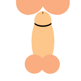 hi_nicobico's emblem