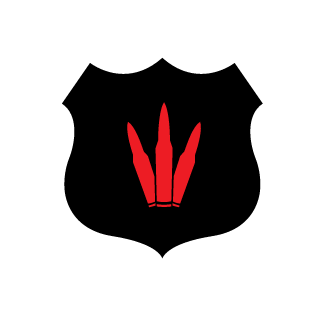 Stealfire268's emblem