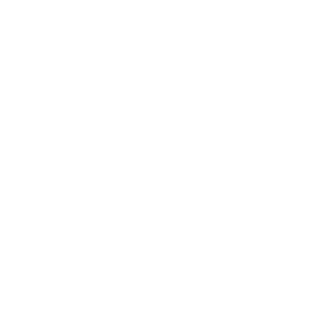 TIEMAXO's emblem