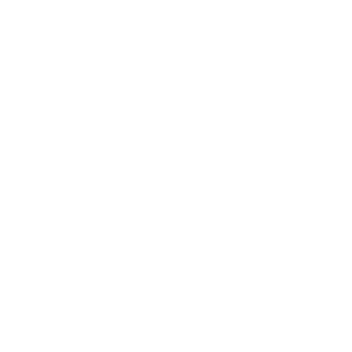 13324713's emblem