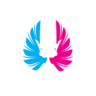 -HERO-KSolo's emblem