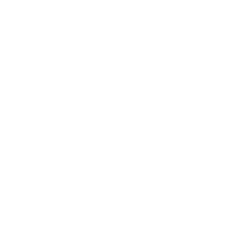 EagleRecon's emblem