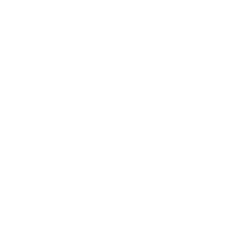 BodaciousBoyHole's emblem