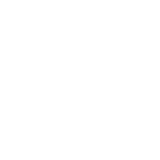 cleangrean's emblem