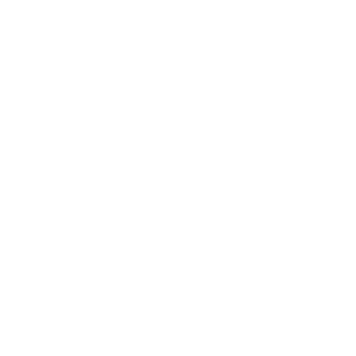 RaZyBoy7's emblem