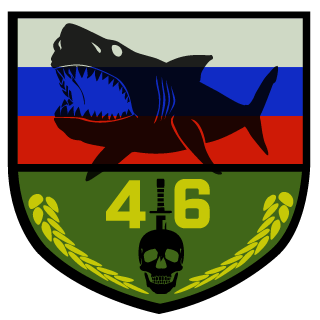 MeiSteR-46RUS's emblem