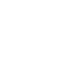 evilmini0n's emblem