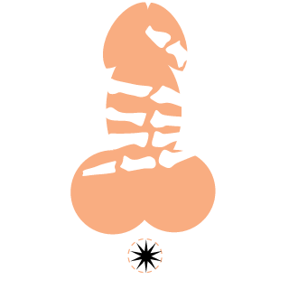 Toddwcnm's emblem