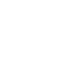 LiamiskoSVK's emblem