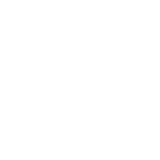 RedFoxVoice's emblem