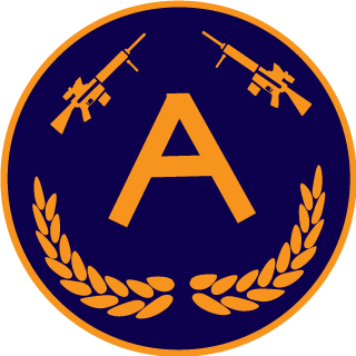 aliCRAFT2004's emblem