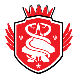 NexusNation's emblem