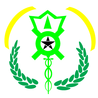 XxChaoticStrike's emblem