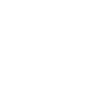 neonerv's emblem