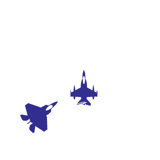 netcat8's emblem