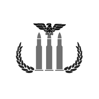 NickBs11's emblem