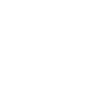 YerBoiFinn's emblem
