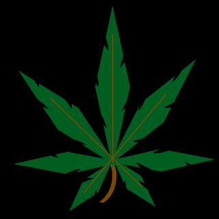 ClickNflashZ's emblem
