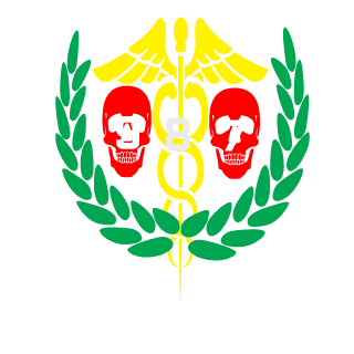 TahaaCode987's emblem