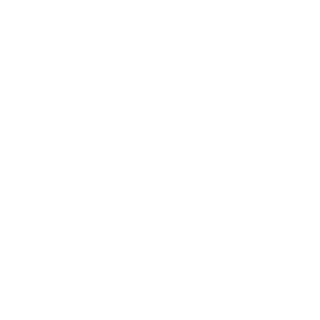 RXSFAI's emblem