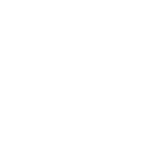 Ver1tas07's emblem