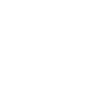 Risiko1000's emblem