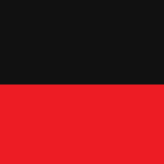 Asteell's emblem