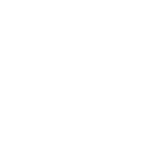 SoaboooM's emblem