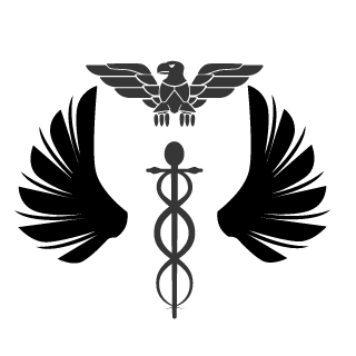 BlackArrows4's emblem