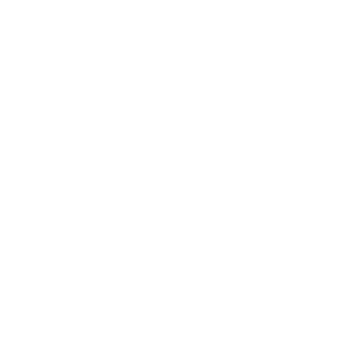 SAUBIS-ARG's emblem