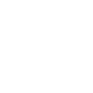 VIOLADOR13's emblem