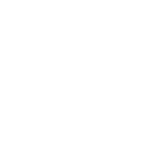 THE69STYLEZ's emblem