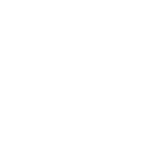 Brigadier_Bison's emblem