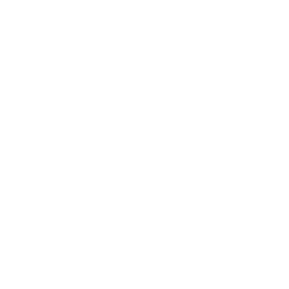 zFonzi's emblem