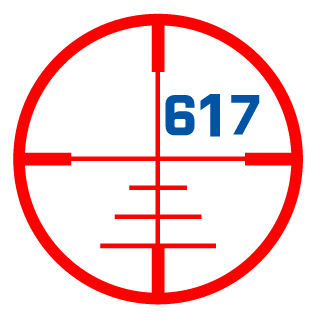 RainDog617's emblem
