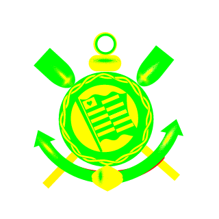 chaveschavos0's emblem