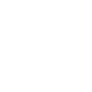 ZiNo89nr's emblem