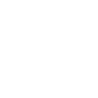 Definition13SVL's emblem