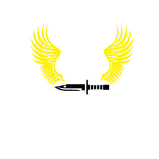 BlobberPlaysTV's emblem