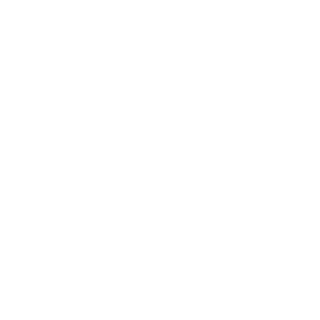 MECHANIKone's emblem