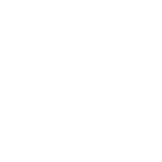 noomy's emblem