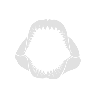 X1xwolfx1X's emblem