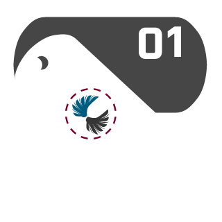 2020xavier's emblem