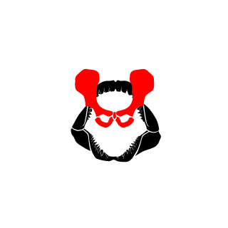 Duck_de_Caxias's emblem