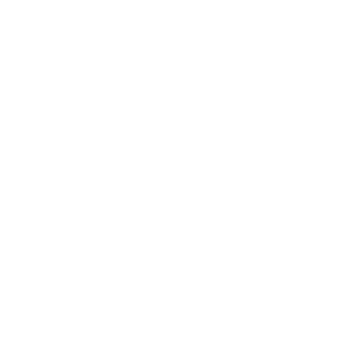 TheRaygan's emblem