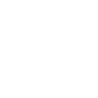 LeFancyy's emblem