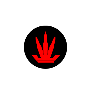 Skronexx5580's emblem