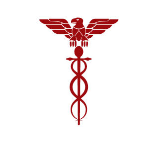 TheBigDTrump's emblem