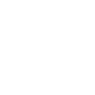 Point5zero's emblem