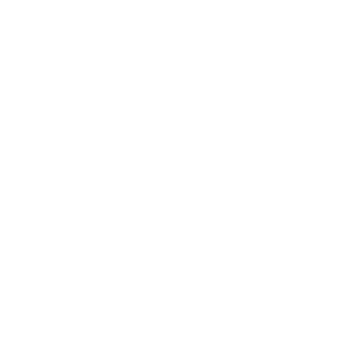 _1337tapochek_'s emblem